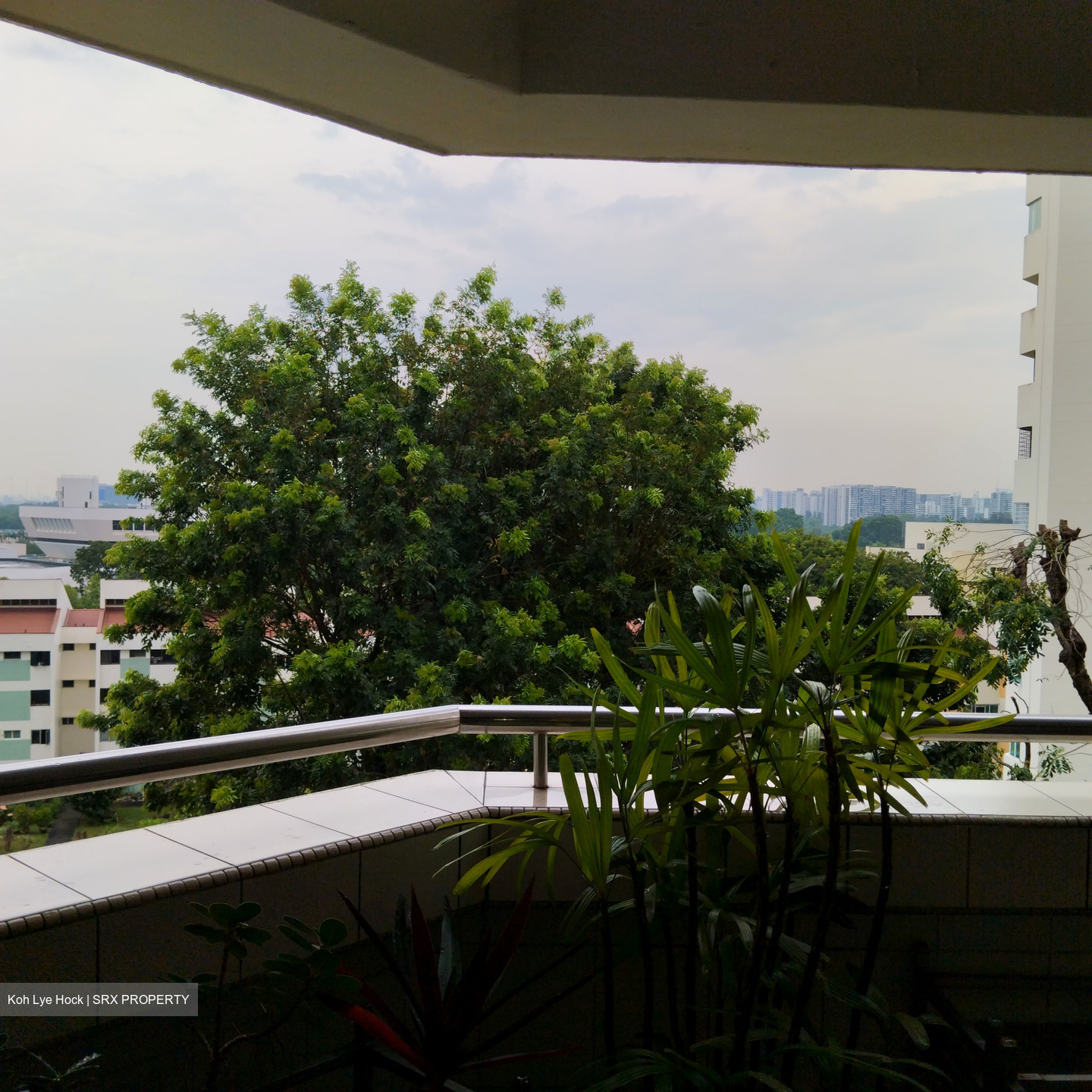 Ivory Heights (D22), Condominium #543610021